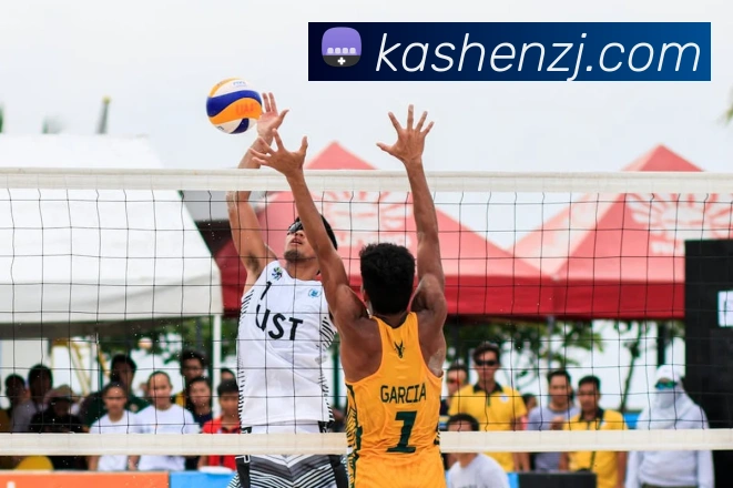 App Interface Preview