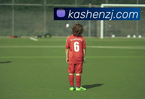 华体网首页官网APP 封面图